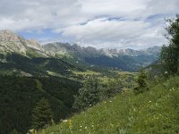 F, Isere, Gresse-en-Vercors, Brisou 10, Saxifraga-Willem van Kruijsbergen