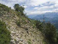 F, Isere, Gresse-en-Vercors, Brisou 18, Saxifraga-Willem van Kruijsbergen