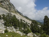 F, Isere, Gresse-en-Vercors, Col de l Aupet 23, Saxifraga-Willem van Kruijsbergen