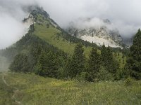 F, Isere, Gresse-en-Vercors, Col de l Aupet 26, Saxifraga-Willem van Kruijsbergen