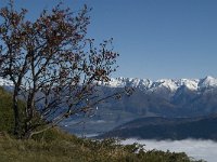 F, Isere, Gresse-en-Vercors, Ecrins 1, Saxifraga-Jan van der Straaten