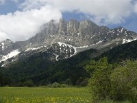 F, Isere, Gresse-en-Vercors, Grand Veymont 22, Saxifraga-Marijke Verhagen