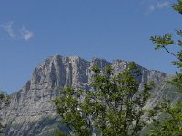 F, Isere, Gresse-en-Vercors, Grand Veymont 28, Saxifraga-Willem van Kruijsbergen