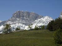 F, Isere, Gresse-en-Vercors, Grand Veymont 6, Saxifraga-Jan van der Straaten