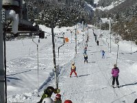 F, Isere, Gresse-en-Vercors, La Ville 23, Saxifraga-Jan van der Straaten