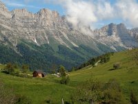 F, Isere, Gresse-en-Vercors, Les Deux 2, Saxifraga-Willem van Kruijsbergen