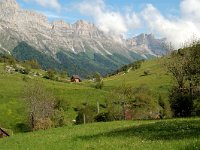 F, Isere, Gresse-en-Vercors, Les Deux 5, Saxifraga-Willem van Kruijsbergen