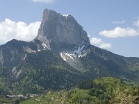 F, Isere, Gresse-en-Vercors, Mont Aiguille 34, Saxifraga-Jan van der Straaten