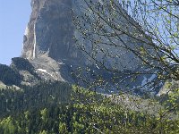 F, Isere, Gresse-en-Vercors, Mont Aiguille 39, Saxifraga-Jan van der Straaten