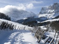 F, Isere, Gresse-en-Vercors, Pas de la Ville 6, Saxifraga-Jan van der Straaten