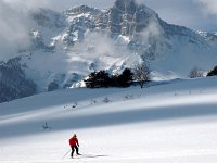 F, Isere, Gresse-en-Vercors, Pas du Serpaton 2, Saxifraga-Jan van der Straaten