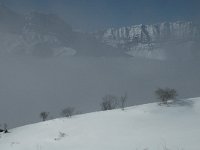 F, Isere, Gresse-en-Vercors, Pas du Serpaton 31, Saxifraga-Jan van der Straaten