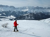 F, Isere, Gresse-en-Vercors, Pas du Serpaton 4, Saxifraga-Jan van der Straaten