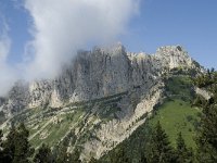 F, Isere, Gresse-en-Vercors, Peyre Rouge 1, Saxifraga-Willem van Kruijsbergen