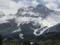 F, Isere, Gresse-en-Vercors, Pierre Blanche 1, Saxifraga-Jan van der Straaten