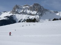 F, Isere, Gresse-en-Vercors, Pierre Blanche 12, Saxifraga-Jan van der Straaten