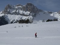 F, Isere, Gresse-en-Vercors, Pierre Blanche 13, Saxifraga-Jan van der Straaten