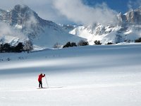 F, Isere, Gresse-en-Vercors, Pierre Blanche 16, Saxifraga-Jan van der Straaten