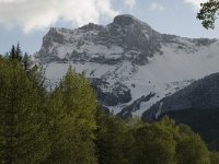 F, Isere, Gresse-en-Vercors, Pierre Blanche 2, Saxifraga-Jan van der Straaten