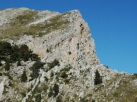 F, Isere, Gresse-en-Vercors, Pierre Blanche 3, Saxifraga-Marijke Verhagen