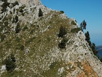 F, Isere, Gresse-en-Vercors, Pierre Blanche 5, Saxifraga-Marijke Verhagen