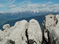 F, Isere, Gresse-en-Vercors, Roc de Cogniere 3, Saxifraga-Willem van Kruijsbergen