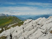 F, Isere, Gresse-en-Vercors, Roc de Cogniere 6, Saxifraga-Willem van Kruijsbergen