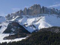 F, Isere, Gresse-en-Vercors, Roche Rousse 10, Saxifraga-Jan van der Straaten