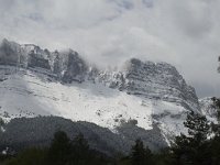 F, Isere, Gresse-en-Vercors, Rocher de Seguret 6, Saxifraga-Jan Van der Straaten