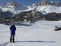 F, Isere, Gresse-en-Vercors, Serre Monet 4, Saxifraga-Jan van der Straaten