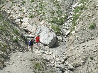 F, Isere, Gresse-en-Vercors, Sous Pierre Blanche 5, Saxifraga-Jan van der Straaten