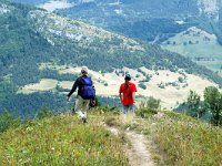 F, Isere, Gresse-en-Vercors, Sous le Seguret 10, Saxifraga-Jan van der Straaten