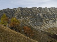 F, Isere, Gresse-en-Vercors, Sous le Seguret 11, Saxifraga-Jan van der Straaten