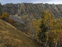 F, Isere, Gresse-en-Vercors, Sous le Seguret 12, Saxifraga-Jan van der Straaten