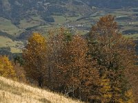 F, Isere, Gresse-en-Vercors, Sous le Seguret 13, Saxifraga-Jan van der Straaten