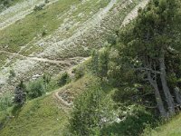 F, Isere, Gresse-en-Vercors, Sous le Seguret 2, Saxifraga-Jan van der Straaten