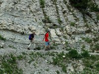 F, Isere, Gresse-en-Vercors, Sous le Seguret 5, Saxifraga-Jan van der Straaten