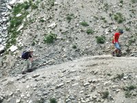 F, Isere, Gresse-en-Vercors, Sous le Seguret 8, Saxifraga-Jan van der Straaten