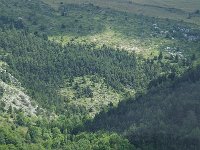 F, Isere, Gresse-en-Vercors, Uclaire 3, Saxifraga-Jan van der Straaten