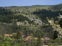 F, Isere, Gresse-en-Vercors, Uclaire 8, Saxifraga-Jan van der Straaten