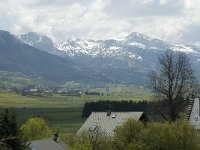 F, Isere, Lans-en-Vercors, Grand Veymont 1, Saxifraga-Marijke Verhagen