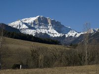 F, Isere, Saint-Michel-les-Portes, Grand Veymont 1, Saxifraga-Jan van der Straaten