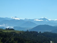 F, Isere, Saint-Michel-les-Portes, Trieves 1, Saxifraga-Jan van der Straaten