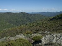 F, Lozere, Barre-des-Cevennes 6, Saxifraga-Willem van Kruijsbergen