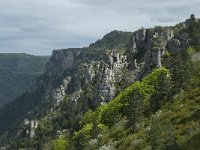 F, Lozere, Florac 8, Saxifraga-Willem van Kruijsbergen