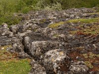 F, Lozere, Fraissinet-de-Fourques, Nimes-le-Vieux 27, Saxifraga-Annemiek Bouwman