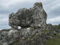 F, Lozere, Fraissinet-de-Fourques, Nimes-le-Vieux 30, Saxifraga-Willem van Kruijsbergen