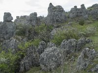 F, Lozere, Fraissinet-de-Fourques, Nimes-le-Vieux 36, Saxifraga-Willem van Kruijsbergen