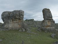 F, Lozere, Fraissinet-de-Fourques, Nimes-le-Vieux 42, Saxifraga-Willem van Kruijsbergen