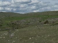 F, Lozere, Gatuzieres, Aures 14, Saxifraga-Willem van Kruijsbergen